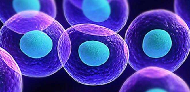 Advanced Stem Cell Hair & Skincare-Geschenkkarte